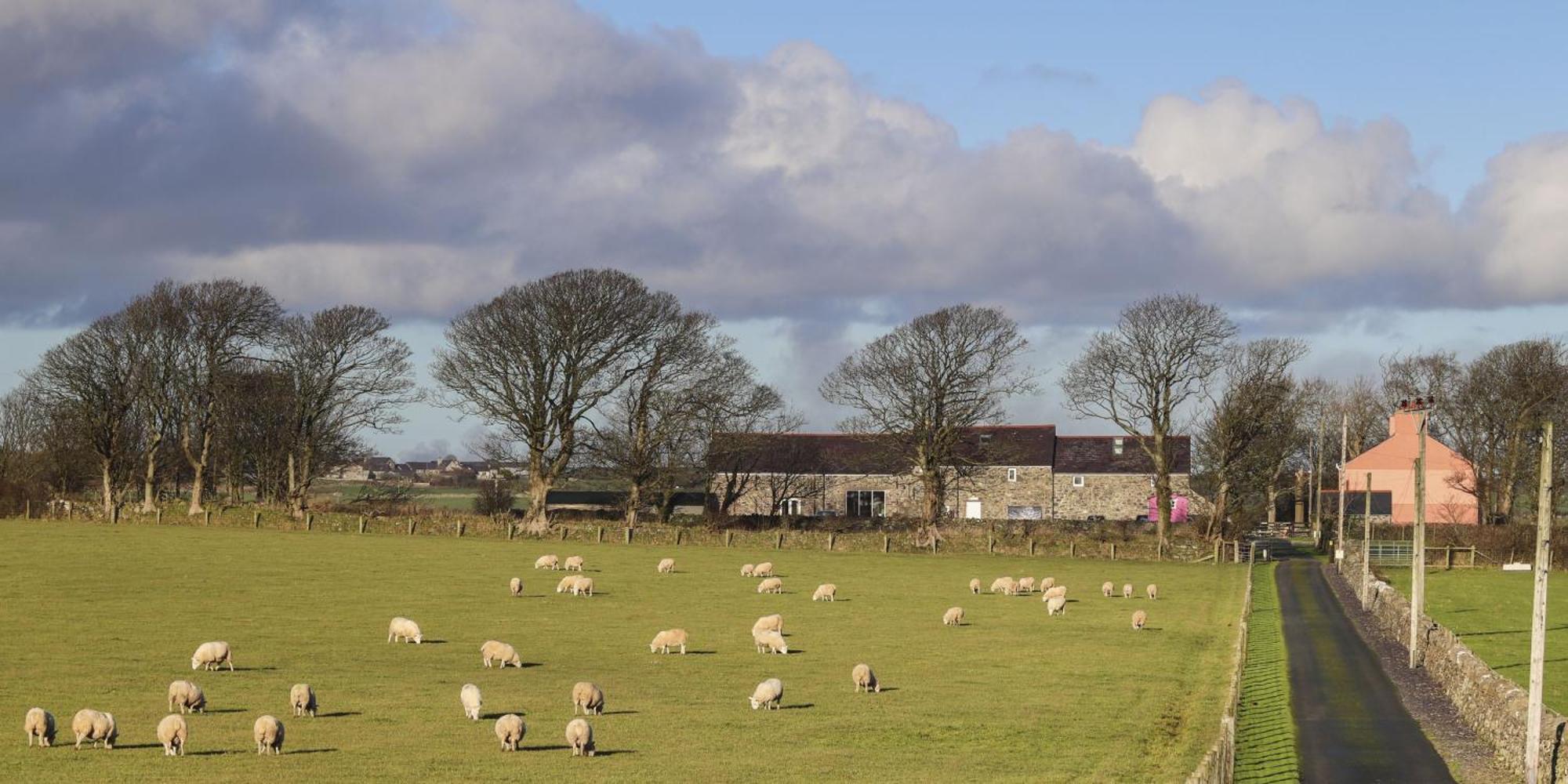 Vila The Outbuildings Newborough  Exteriér fotografie